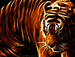 tiger_by_zuza7595-d4zhca8.png